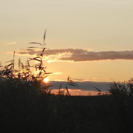 Villa Pfahlbau Rust/Neusiedlersee Sunset I Extérieur photo