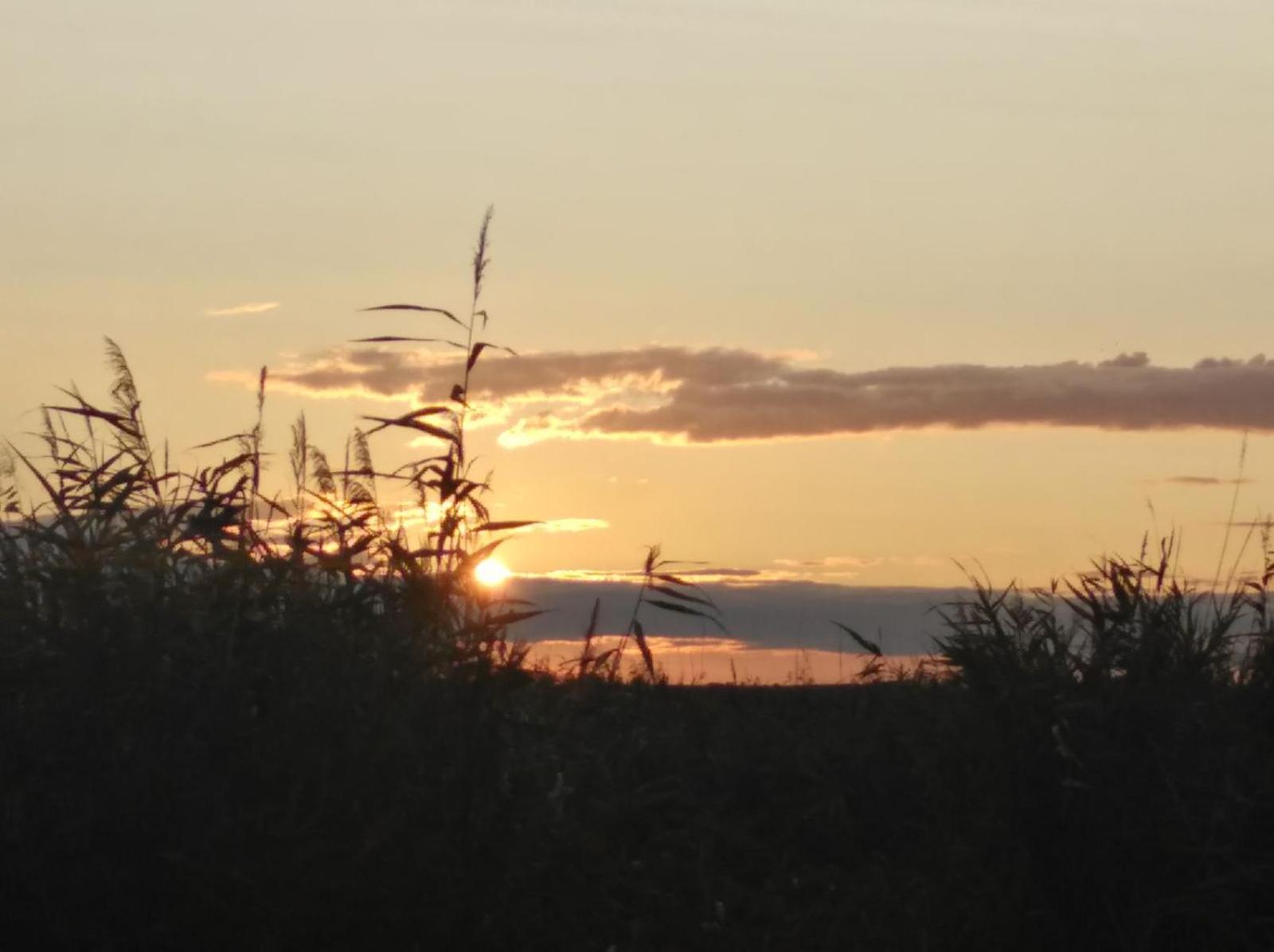 Villa Pfahlbau Rust/Neusiedlersee Sunset I Extérieur photo