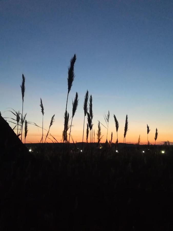 Villa Pfahlbau Rust/Neusiedlersee Sunset I Extérieur photo