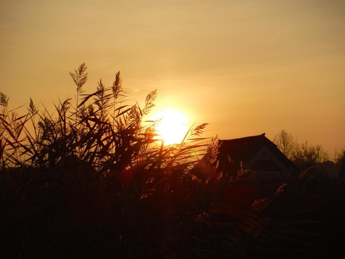 Villa Pfahlbau Rust/Neusiedlersee Sunset I Extérieur photo