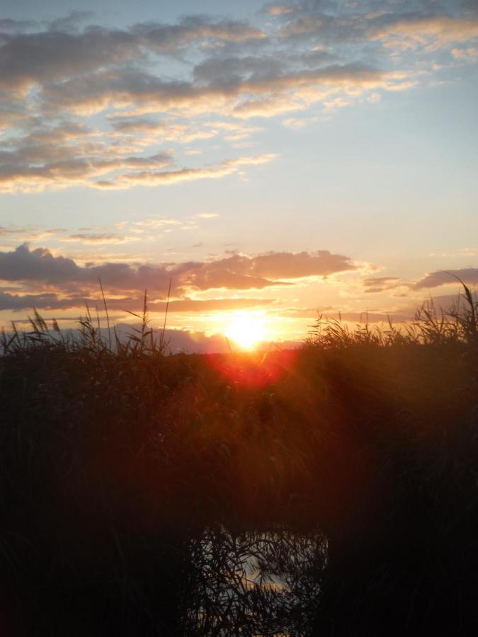 Villa Pfahlbau Rust/Neusiedlersee Sunset I Extérieur photo