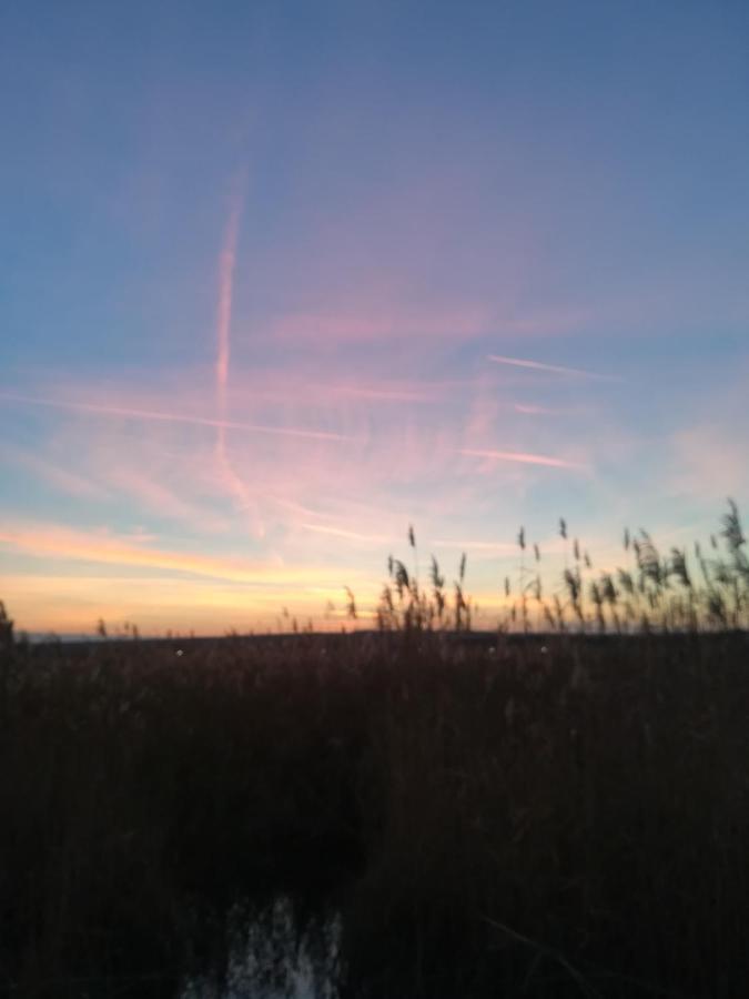 Villa Pfahlbau Rust/Neusiedlersee Sunset I Extérieur photo